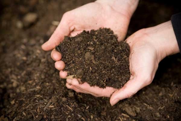 Soil & Solid Waste Analysis